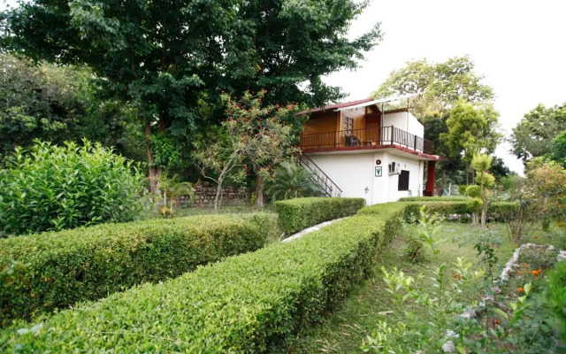 Rhea Safari Lodge