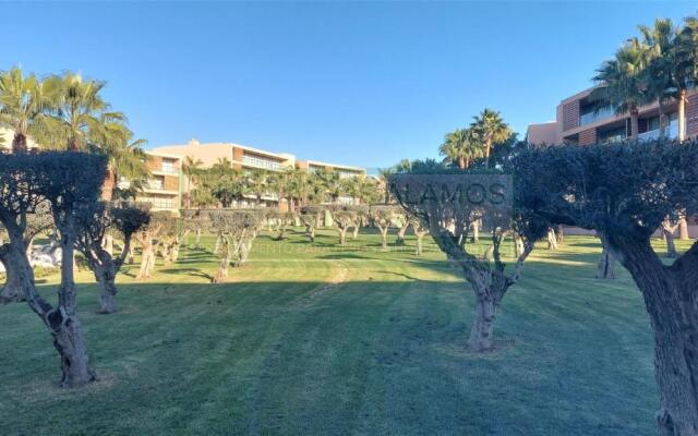 Apartamento T2 Salgados