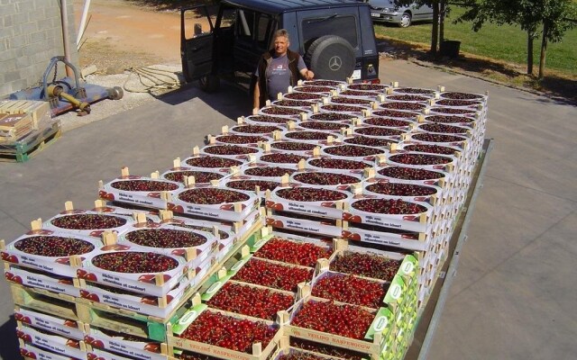 Cherryfarm Bakkershof