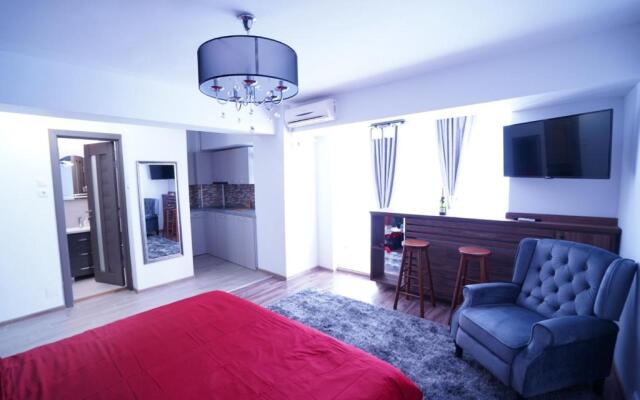 Luxury 1BR studio near Hanul Drumetului Bucharest