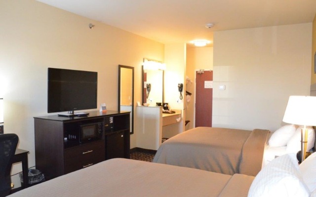 Spark by Hilton Minot