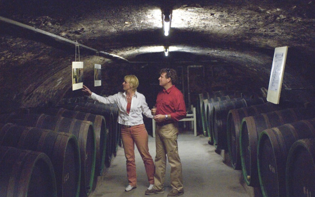 Traditional Style Villa with 2 Bathrooms near River Moselle