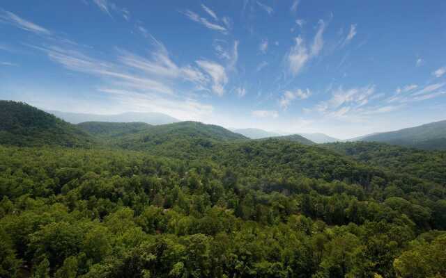 The Park Vista - a DoubleTree by Hilton Hotel - Gatlinburg