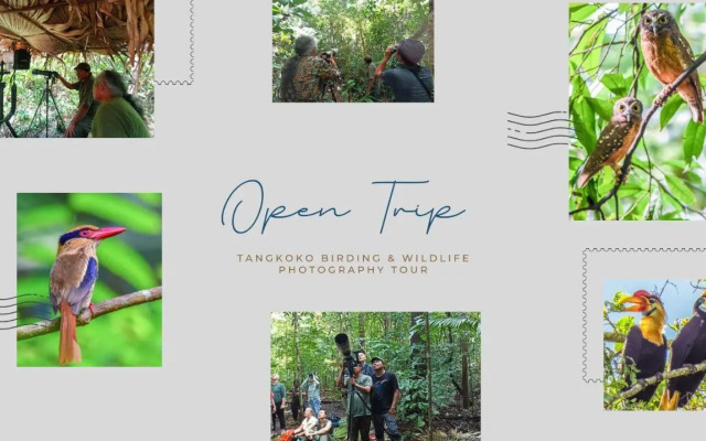 Tangkoko Jungle Homestay By OYO