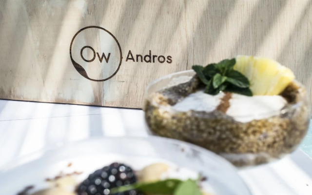 OW Andros - Luxury Suites