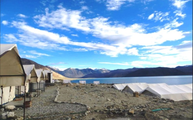 Royal Camp - Pangong