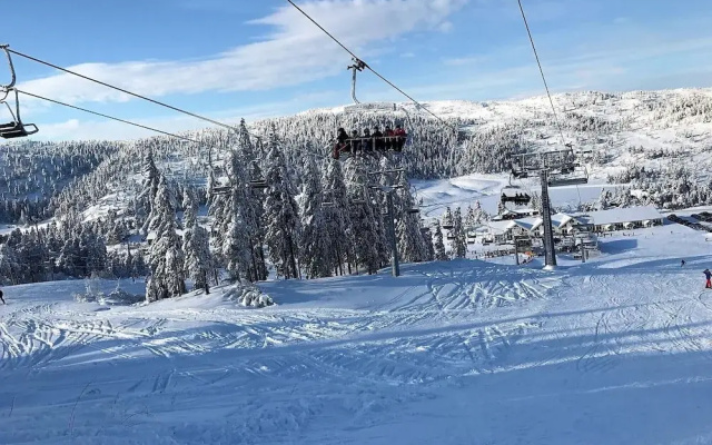 Ski Lodge & Apartments Gautefall