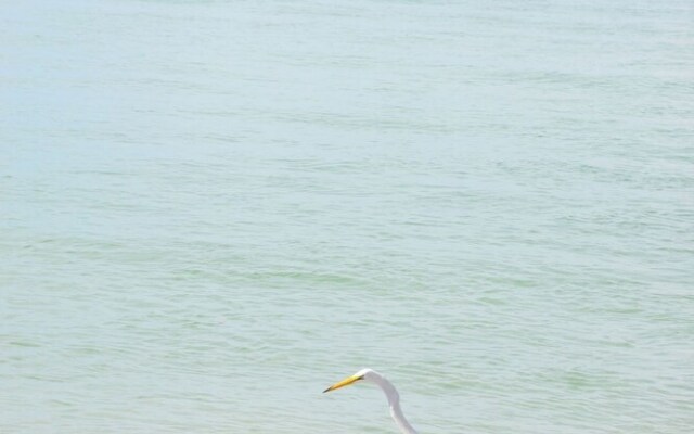 Runaway Bay 270 - 1357301