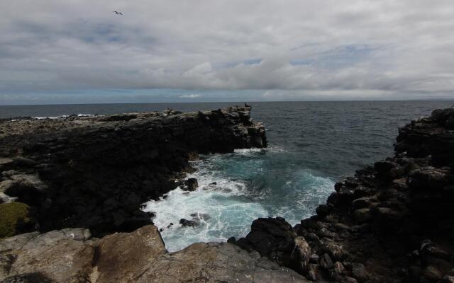 Lava Lizard Guesthouse