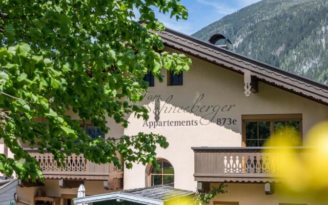 Studio Schneeberger 1