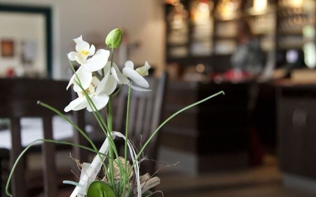 City-Hotel Friesoythe