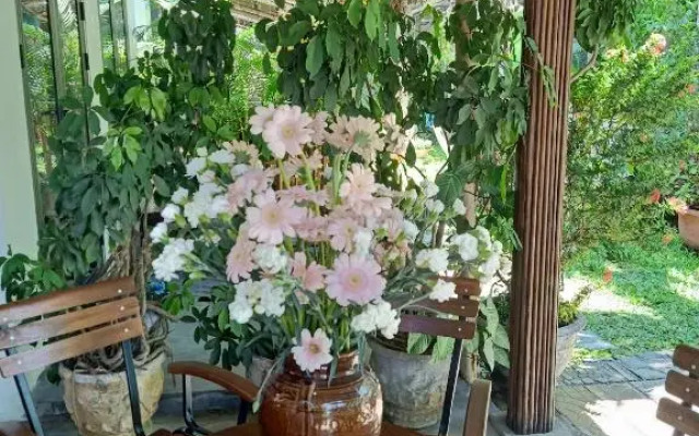 The Natural Bungalow