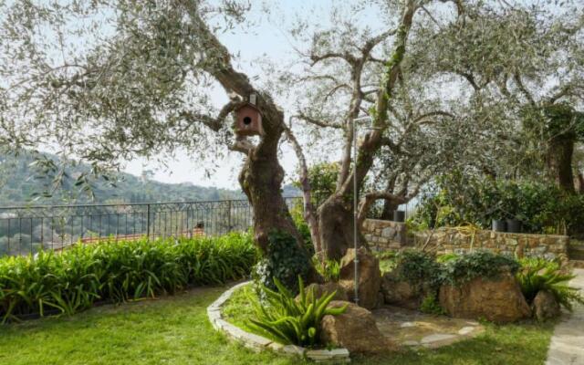 Flat 80M² 1 Bedroom 1 Bathroom - Imperia