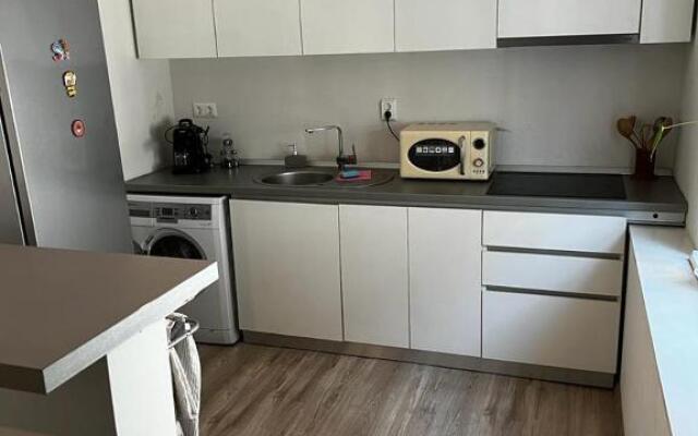 Apartament 3 Central