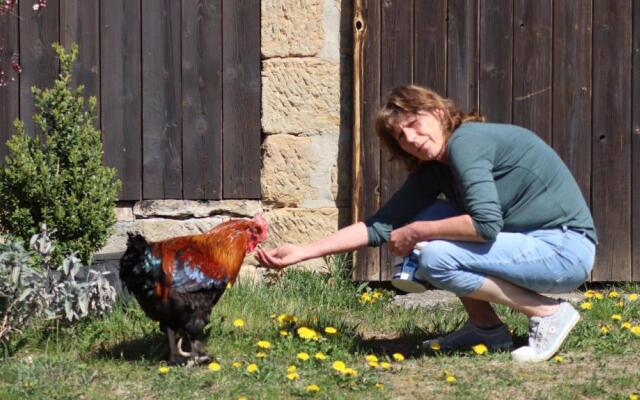 Ferienwohnungen Hering