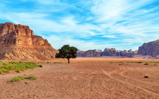 Ali Wadi Rum Moon Camp