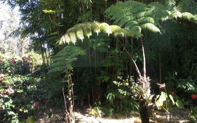 Hale 'Ohu Bed & Breakfast