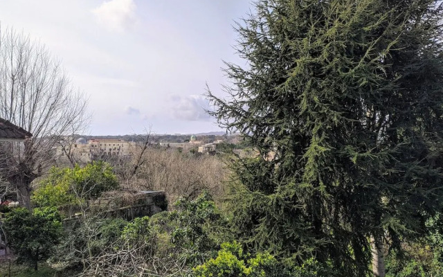 Bed and Breakfast Napoli Peppinos Room