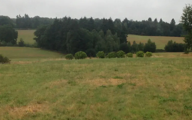 Chambres d'hôtes des Forêts