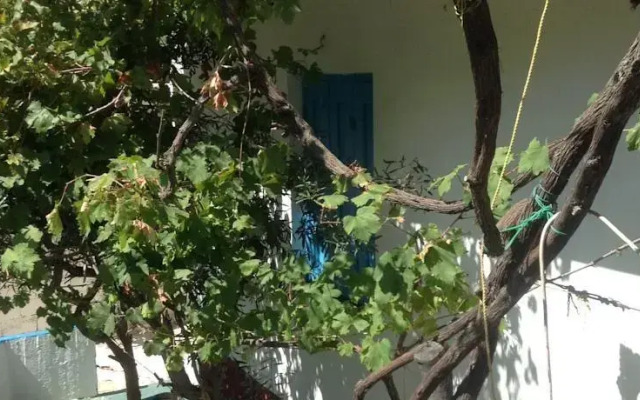 Rooms To Let Aikaterini Kondyla