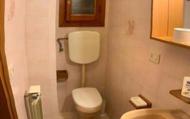 Admiral NEW Property 2022