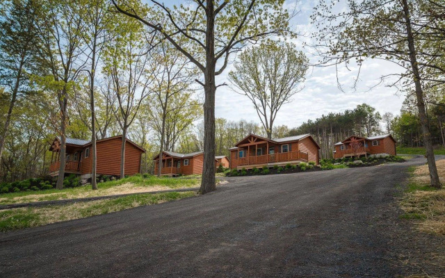 Single Island Shores