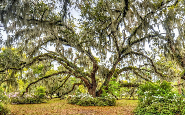 The Westin Jekyll Island Beach Resort