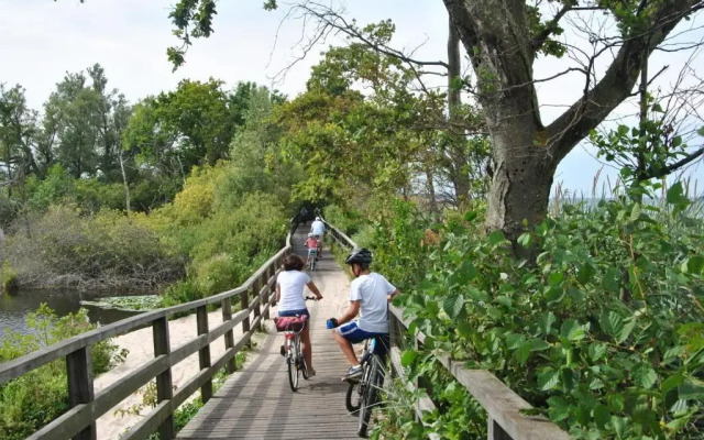 Interferie Cechsztyn