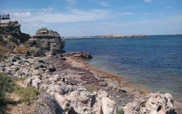 Homestead Bed and Breakfast