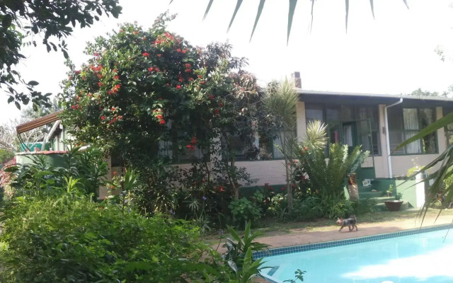 St Lucia Wilds