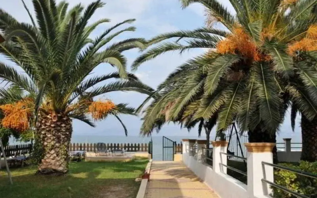 Evgenios Studios