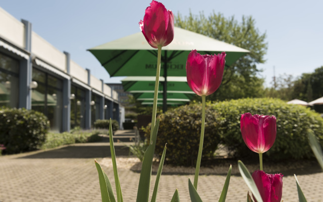 Mercure Hotel Mannheim am Friedensplatz