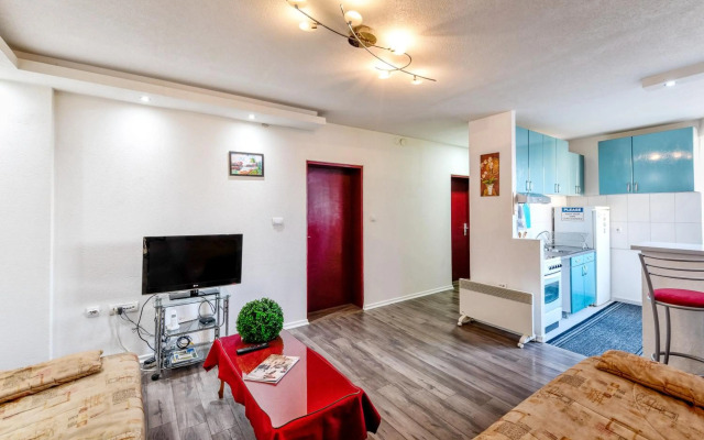 Central Monument Apartment Bojkovic