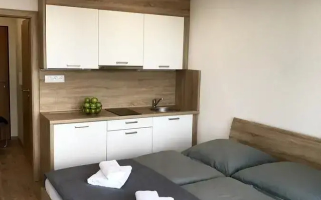 Apartment Poprad