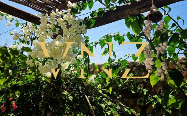 Villa Nyota Zanzibar