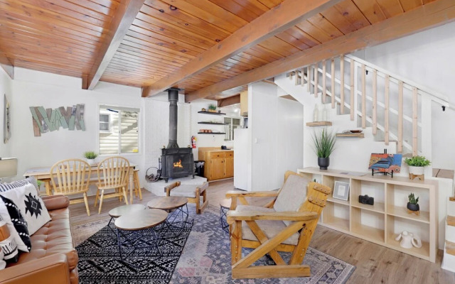 THE Bear Bauhaus #2106