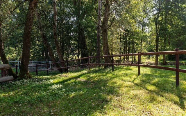 Pretty Holiday Home in Eschede Germany near Forest