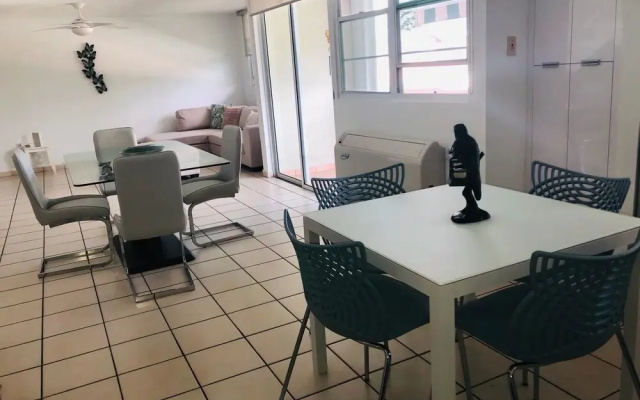 Suburb Pethouse Apartment
