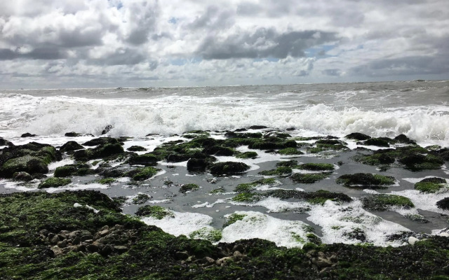 Fijne Studio aan zee per week wissel vrijdag