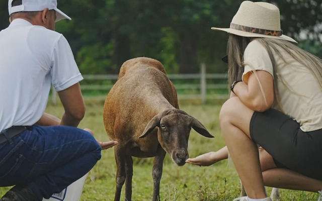 Hotel Brisas la Gaviota Mariquita-Tolima