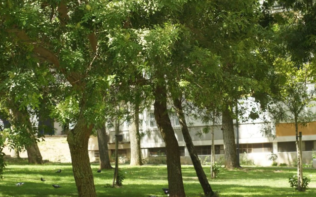 Lisboa Central Apartment