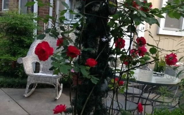 Port City Guest House