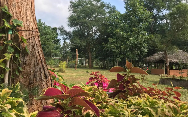 Peacock Resort Anuradhapura