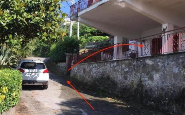 The Magnolia Apartment