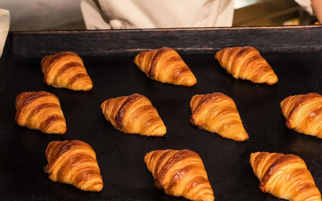 okcs Retreat Hakone före - Adults Only