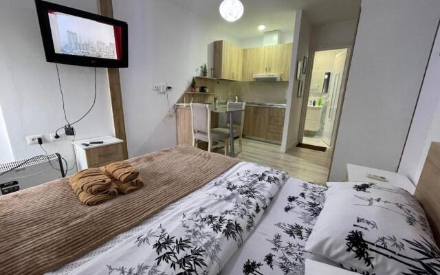 Downtown Modern Studio Apartment