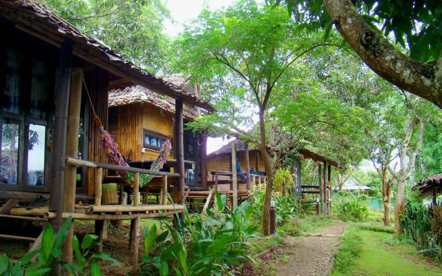 Re - Wild House
