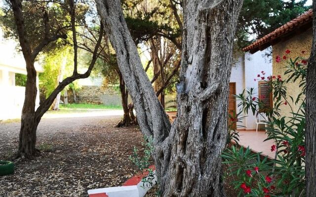 Camping Gioiosa B&B