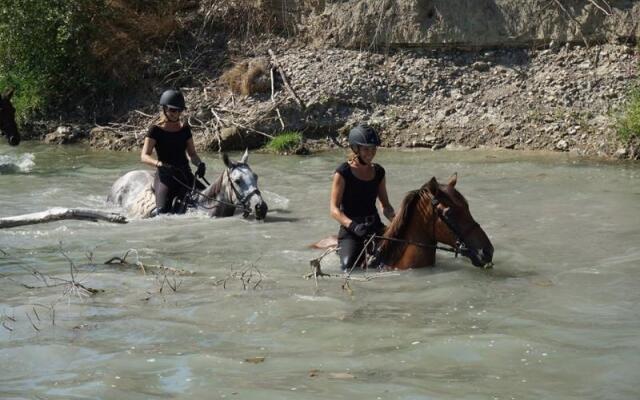 Diacceroni B&B Organic Farmhouse
