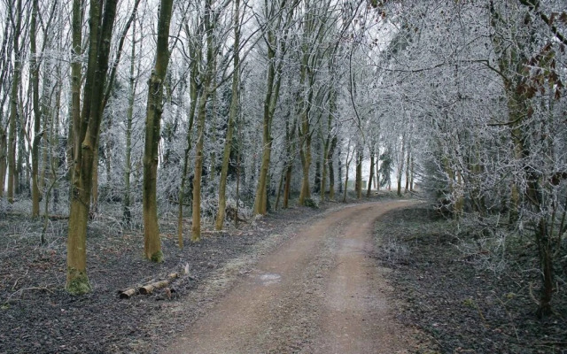 Stunning Lakeside Country Retreat near Cirencester